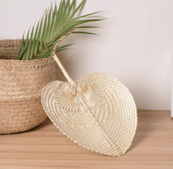 Raffia Hand Fans- 10 piece